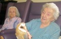 Care home welcomes animal assisted therapy with visit from Owl Magic